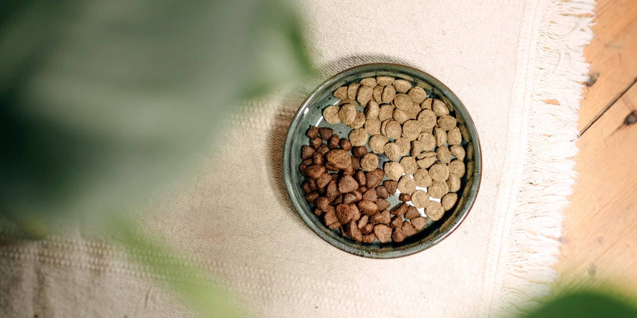 Miska z dwoma rodzajami karmy suchej