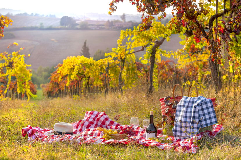 Food & Wine Tours Belvedere: Messina: picnic in the vineyard with tasting of three wines