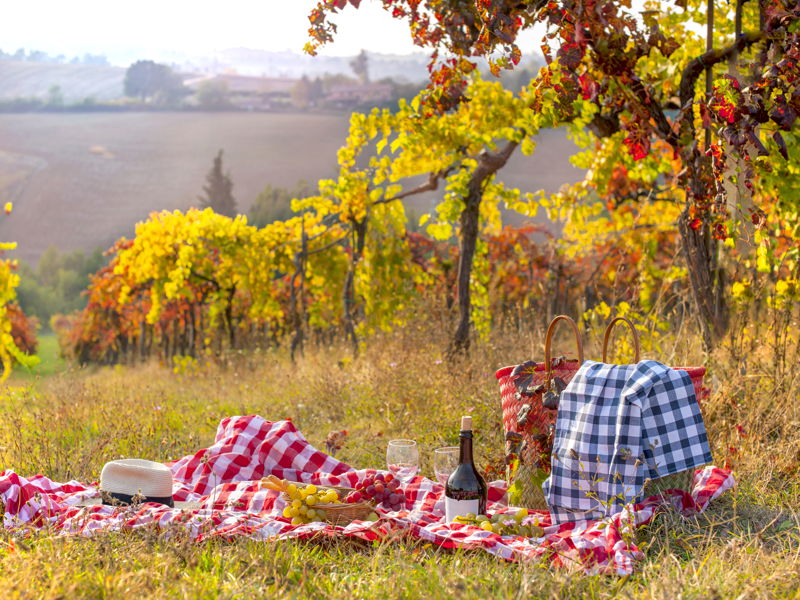 Kulinarische Touren Tripi: Messina: Picknick im Weinberg mit Verkostung von drei Weinen 