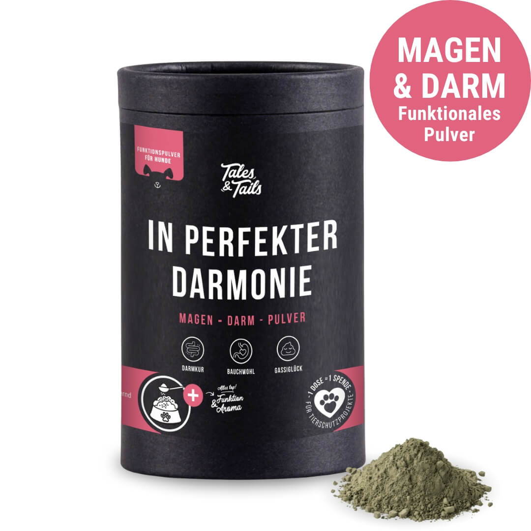 In perfekter Darmonie – funktionales Pulver mit Leinsaat, Kamille und Fenchel