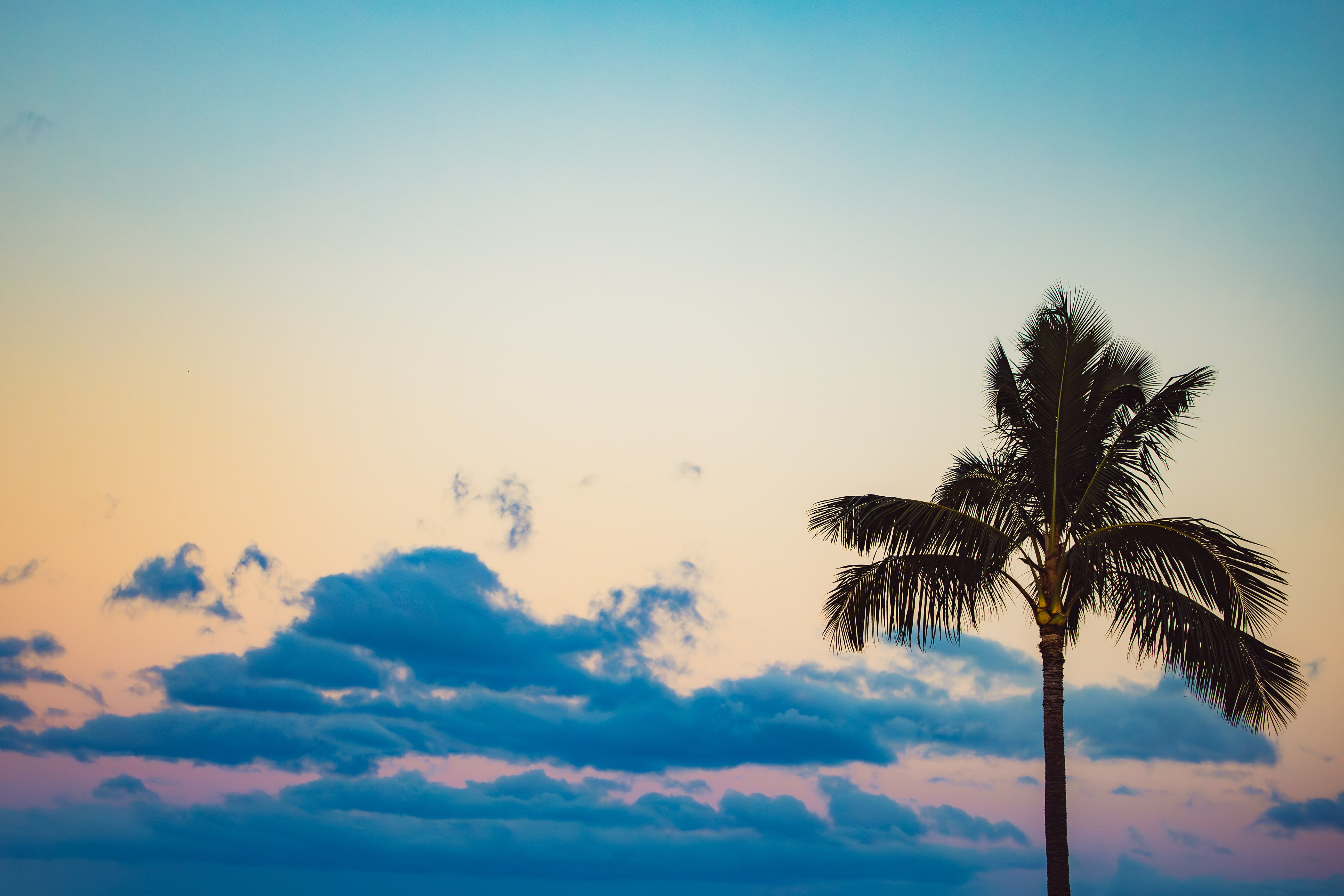Sky Experiences