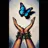 TruthAndAccountabily avatar