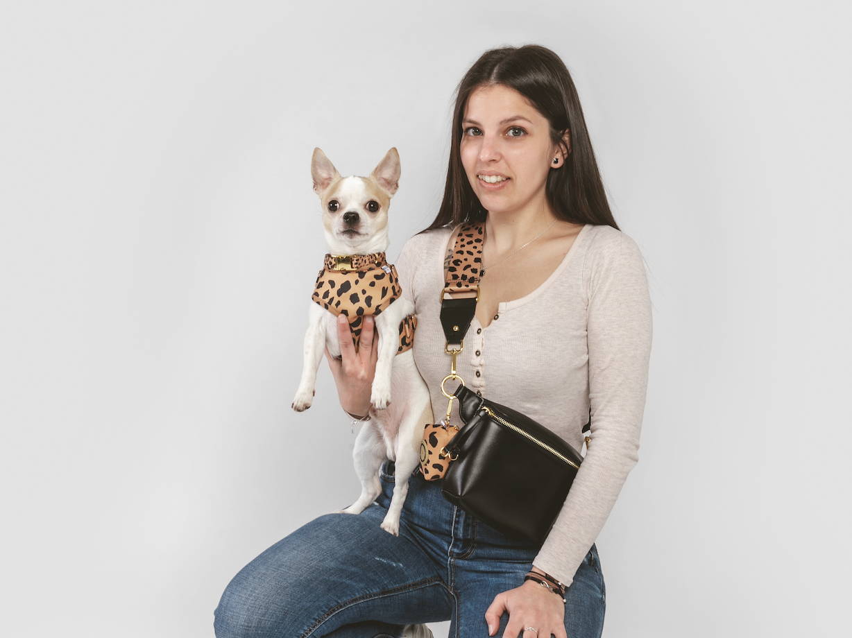 chihuahua lifespan
