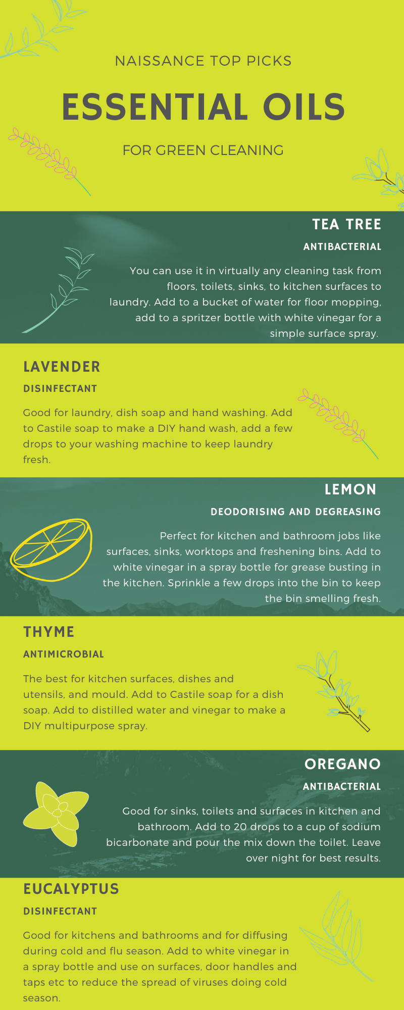 Best essential oils for cleaning