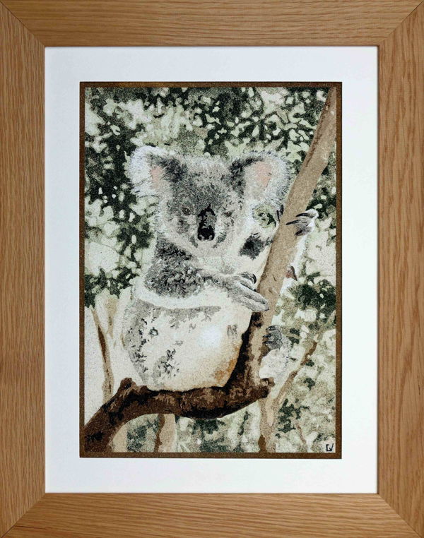 Koala de Brisbane