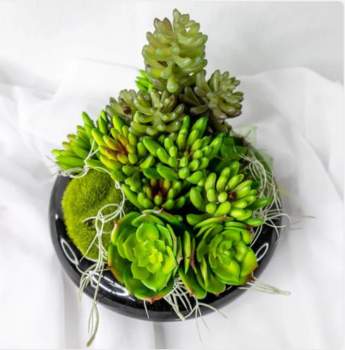 Apple Lotus Succulent (6 Pack) - Realistic Artificial Flowers and Greenery - Image 5