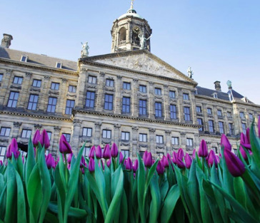 Амстердам для своих: обзорная экскурсия со стажером