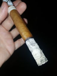 Cigar Session Photo