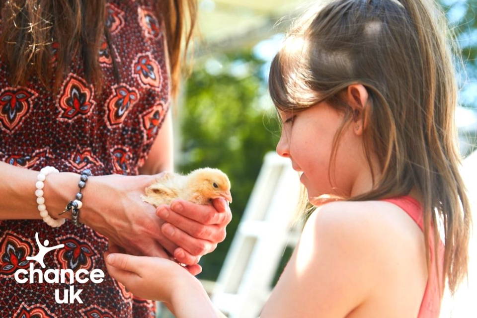 Image of a girl reaching out to hold a baby chick