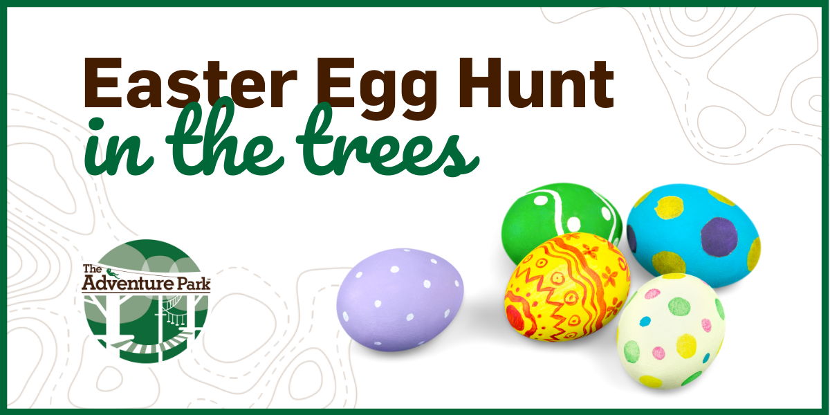 Easter Egg Hunt in the Trees promotional image