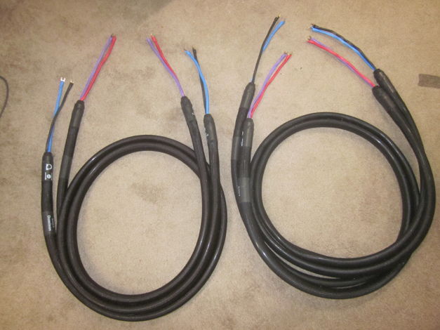 The two sets of Bi-Wire speaker cables
