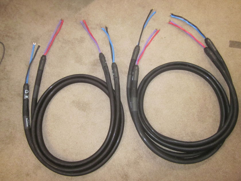 PURIST AUDIO DESIGN 3m Vertical Bi-Wire Dominus Rev. B Speaker Cable (Price Lowered)