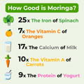 Moringa Nutritional Benefits in a 100g Comparison