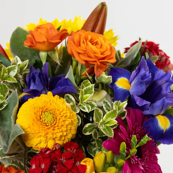 Bright And Bold Posy_flowers_delivery_interflora_nz