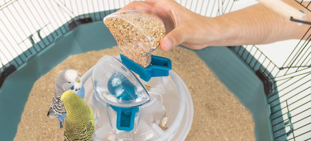 Omlet Geo Bird Cage - General Bird Cage Habitat Kit