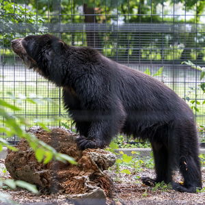 Potawatomi Zoo Dual Membership for a Year