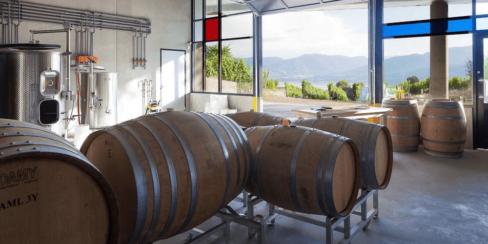 Terravista Vineyards Tasting