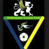 Gildersome & Farnley Hill Cricket Club Logo