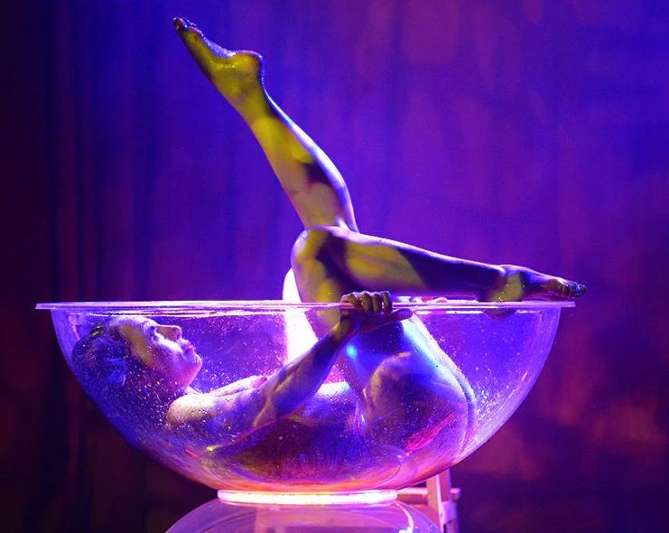 Honeycomb Club - Voucher - Image 4