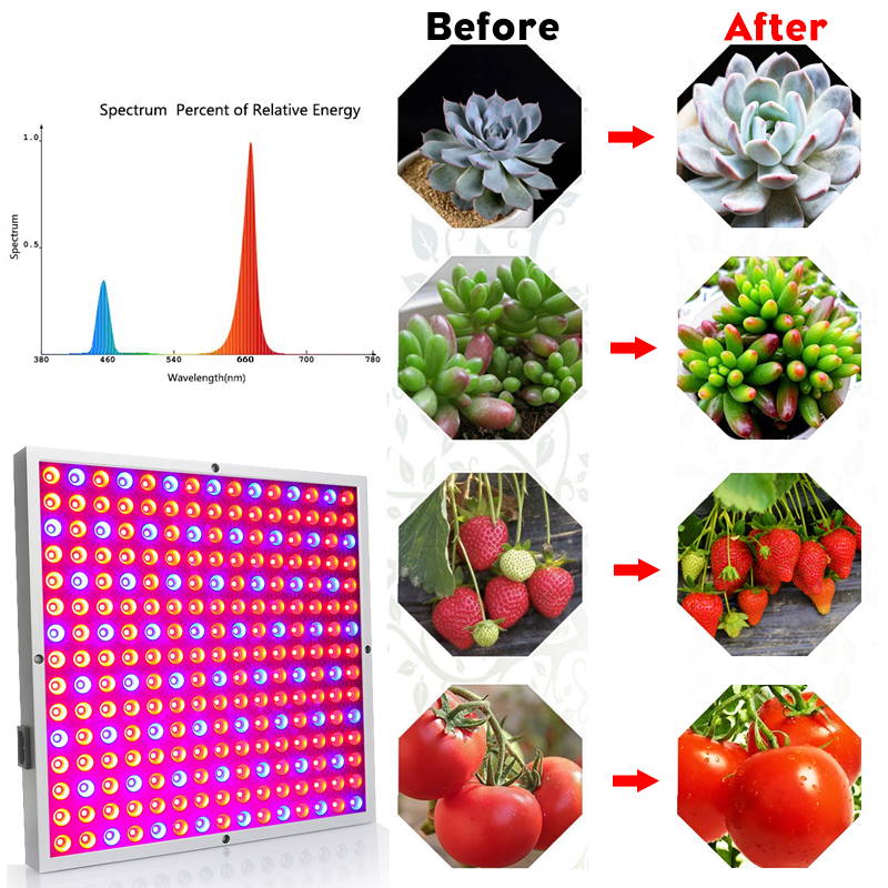 Grow Lights for Plants | LED Plant Grow Lights | Planting Lights | Indoor Plants Grow Lights | Full Spectrum Plant Grow Lights | Indoor plant lights | Best Grow Lights