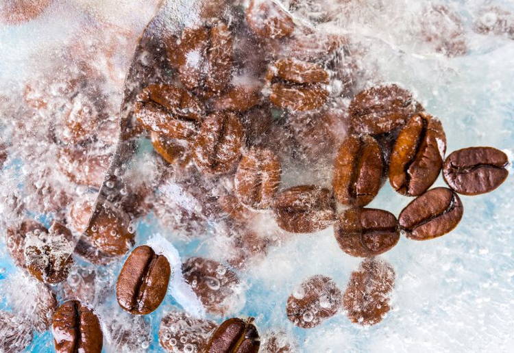 コーヒー 豆 冷凍