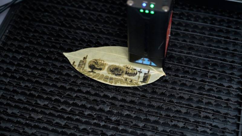 Ideas de grabado láser para el arte del tallado de hojas 03