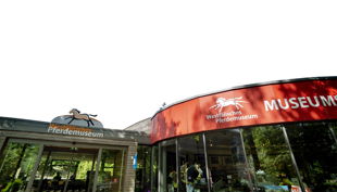 westfälisches pferdemuseum willkommen im pferdemuseum
