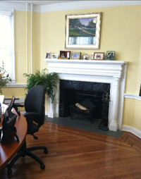 Fireplace: Then, of course, there were the bats that lived in the foyer and one of the fireplaces upstairs.