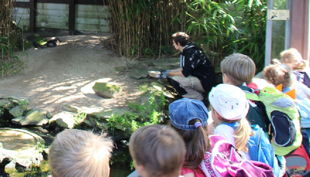 wildpark reuschenberg führungen