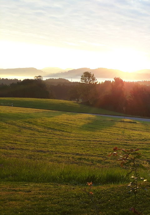 griaß di - bei d´Kathi