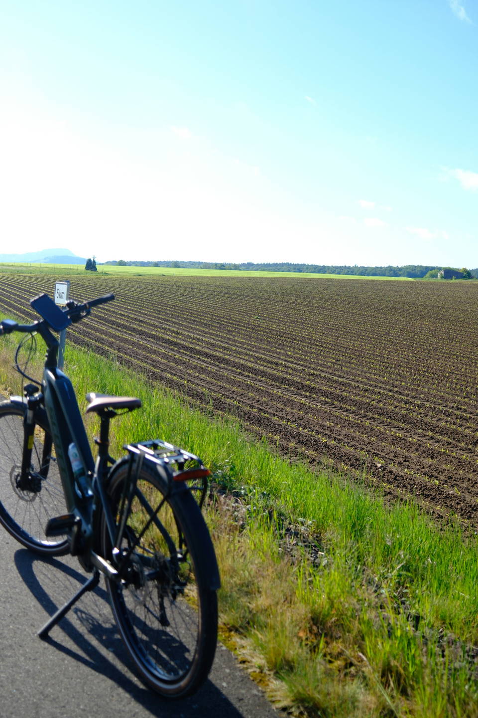 mountain bike elettrica