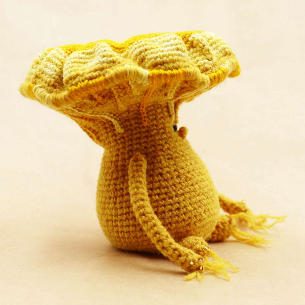CHIKU | crochet Mushroom