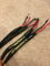 Triode Wire Labs American Speaker Cable 6ft, Unterminat... 4