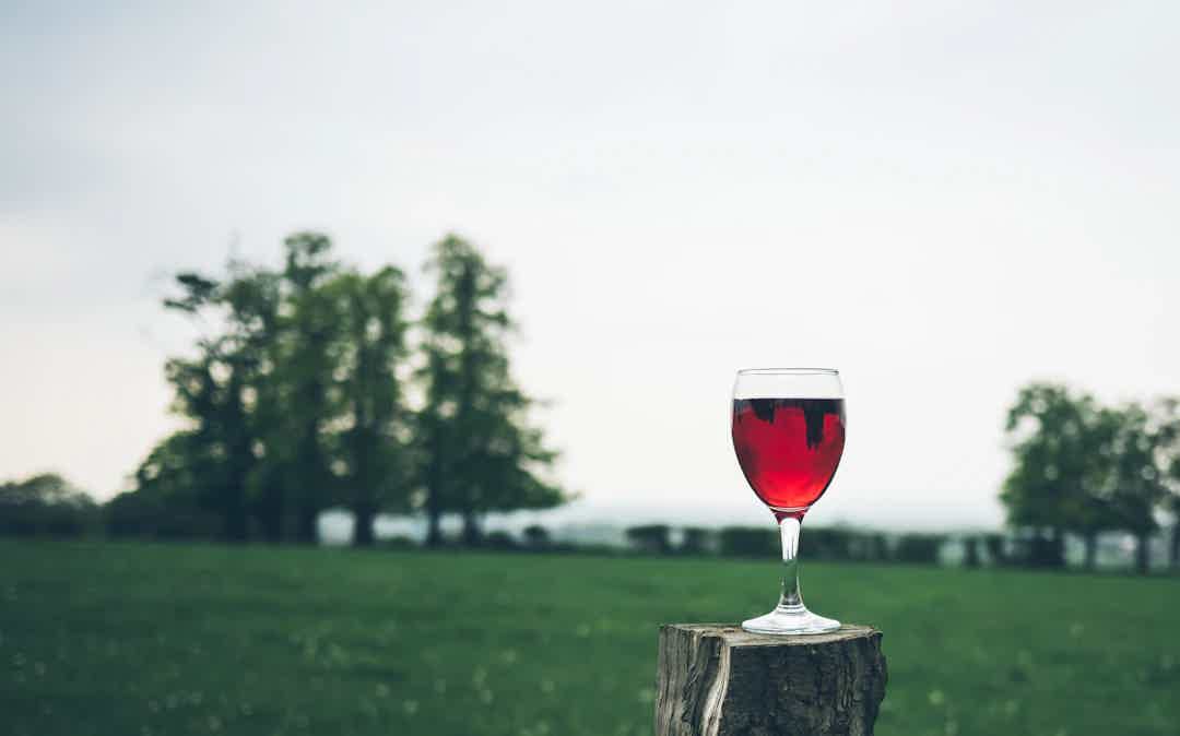 Understanding Alcohol's Impact on Women: What You Need to Know