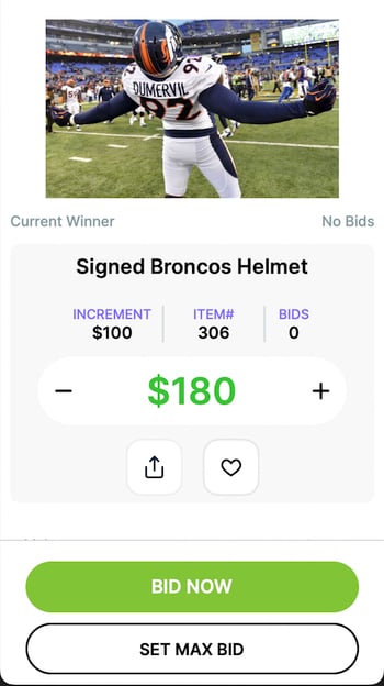 item view in app