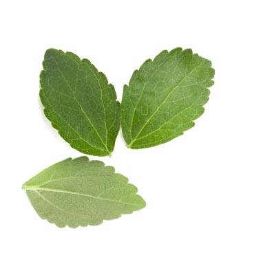 Everyday Fit™ Stevia Leaf