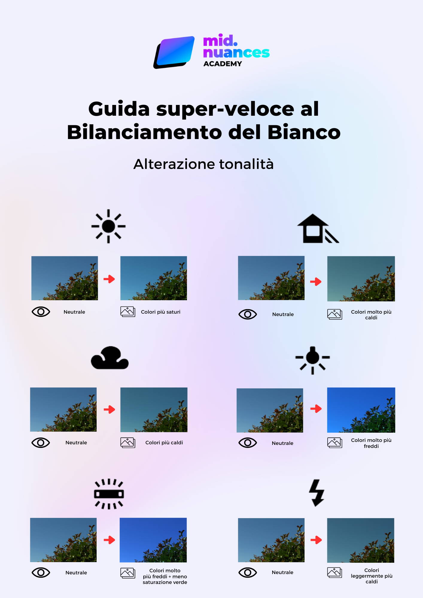 Infografica - Guida al bilanciamento del bianco