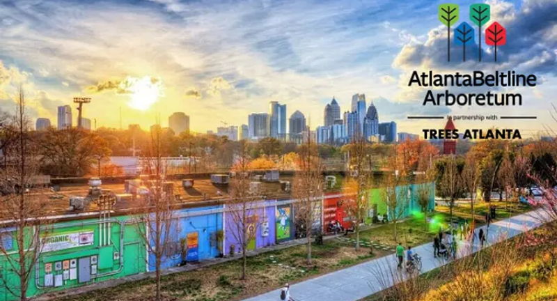Sunset Tree Tour: Atlanta Beltline Arboretum Eastside Trail