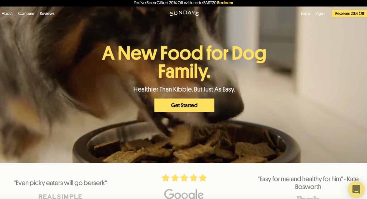 Sundays For Dogs product / service