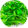 fastblast daily essentials contains organic parsley