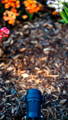 Close-up of black aluminium garden spike light installed in garden mulch among plants.