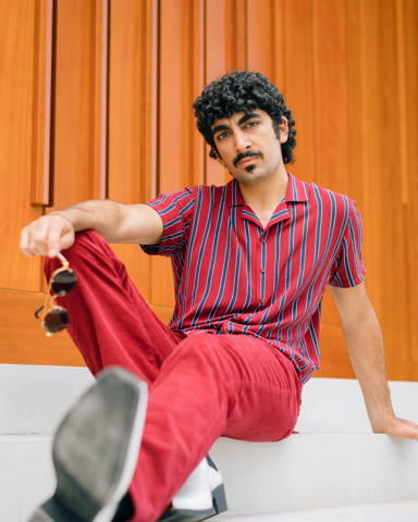 Dana Arab Ovisi