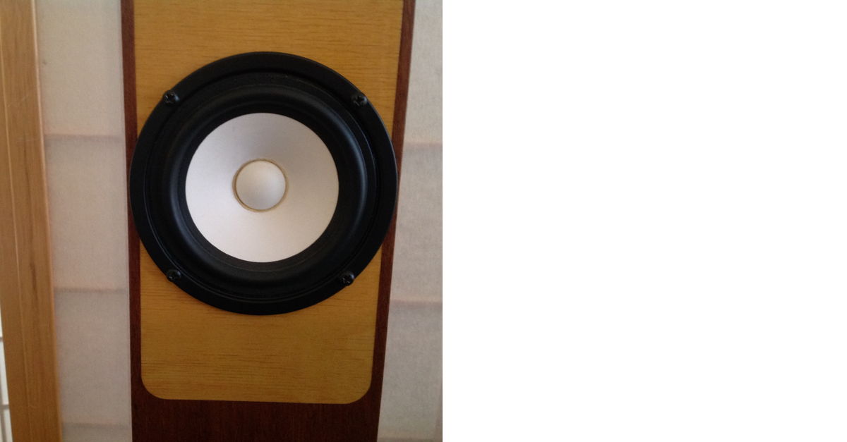 Dave Merrill Speakers For Sale Audiogon