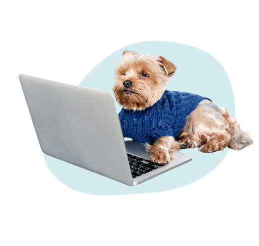 perro junto a una laptop