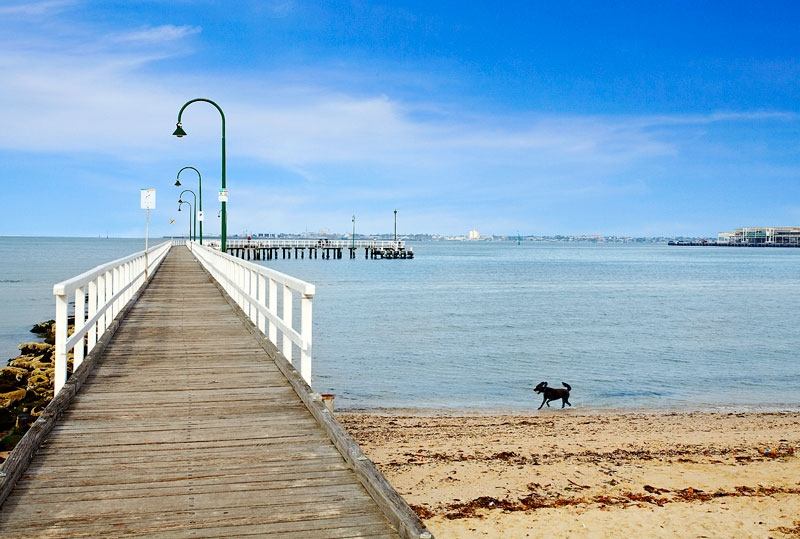 Spacious Top Floor Residence inc. Dazzling City and part Water Views- Port Melbourne - Image 14