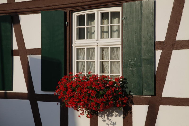 Impressionen Hanauerland
