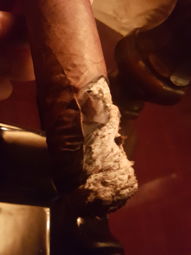 Cigar Session Photo
