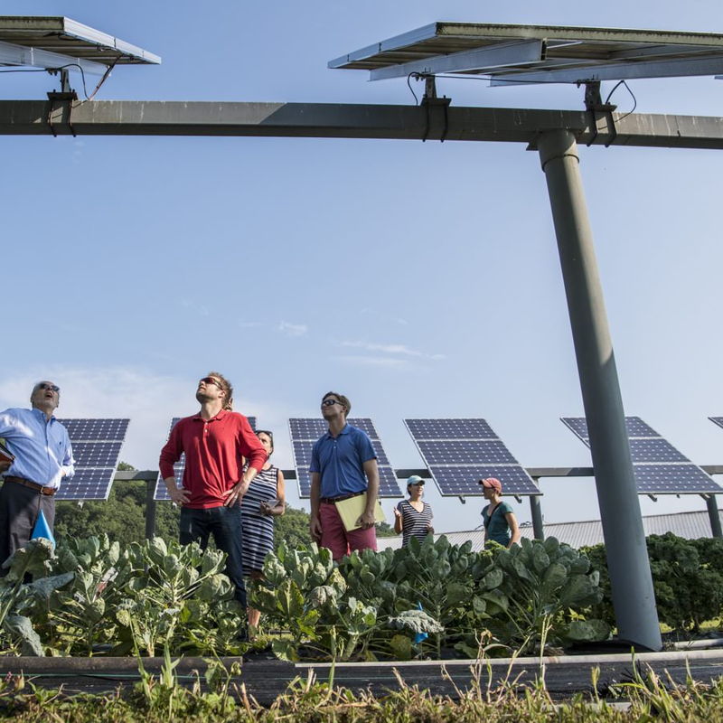 Adviseur duurzame energie