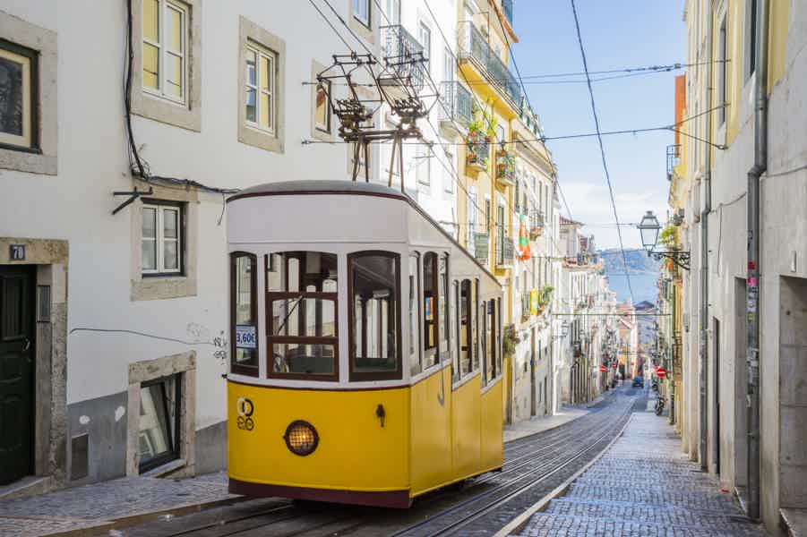 Best of Lisbon Small-Group Guided Walking Tour - photo 5