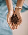 Woman's hands holding coffee beans